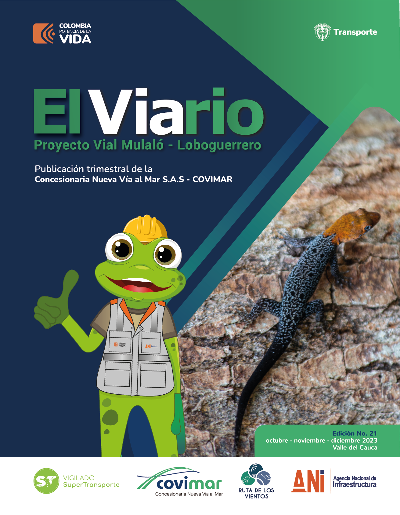 ElViarioedicin21V02curvas-01.png